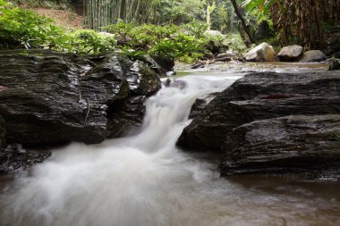 Tayland güzel şelale.