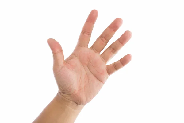 Мужские руки на белом фоне — стоковое фото