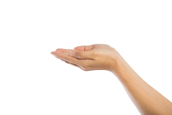 Praying Hands Isolated on white background. — Stock Photo, Image