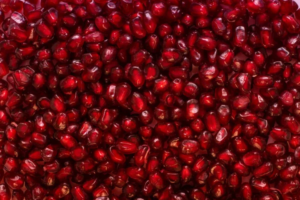 鮮やかな赤ザリガニの種が — ストック写真