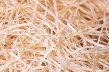 wood shavings background close-up, soft diffused light. Environmentally friendly packaging of fragile items. clipart