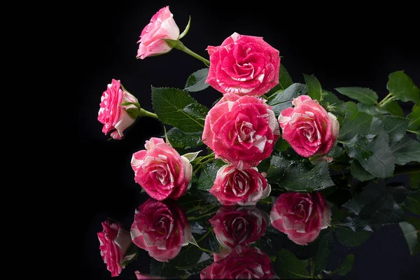 Kytice Růží Černém Pozadí Odlesky Květin Lesklého Povrchu — Stock fotografie