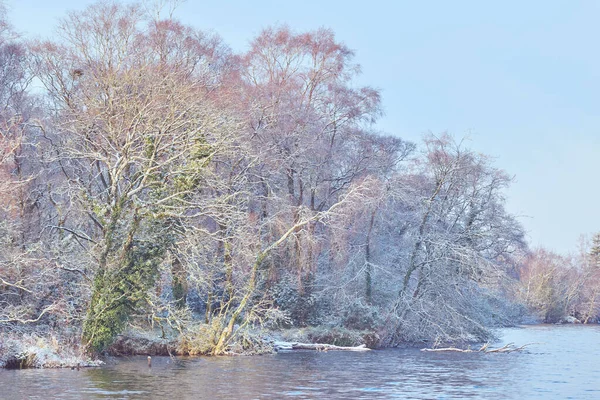 Paisagem Inverno Junto Lago Árvores Cobertas Geada Interior Irlanda — Fotografia de Stock
