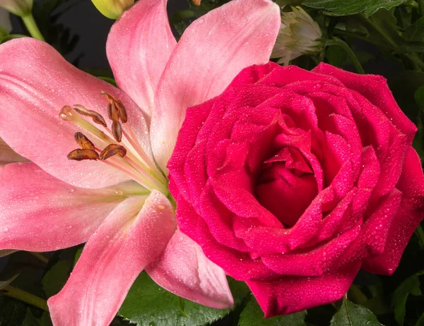 粉红百合和红玫瑰宏观风格射精. — 图库照片