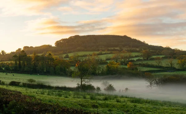 Salida del sol nebulosa sobre las tierras de cultivo en las tierras medias de Irlanda. — Foto de Stock