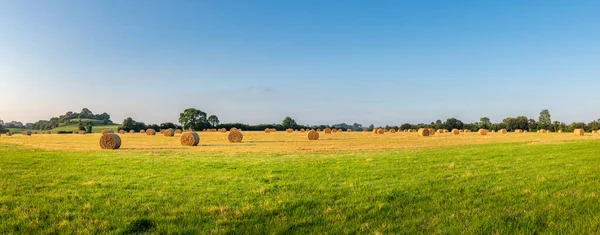 Panoramaaufnahme eines landwirtschaftlichen Feldes mit Strohballen und blauem Himmel. Stockbild