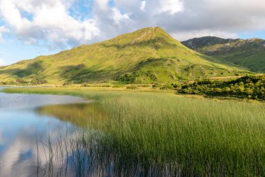 Pollacapall Gölü 'nden Yeşil Dağ' a, Connemara Ulusal Parkı, İrlanda