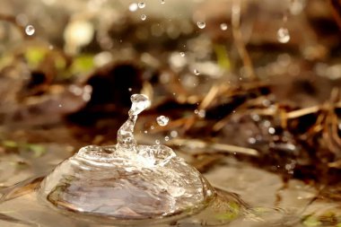 Bir damla yağmur bir su birikintisine düşer.