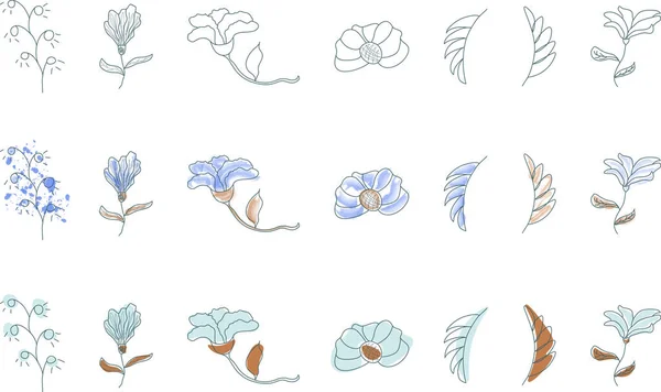 Een Set Botanische Schetsen Abstracte Grafische Elementen Van Continue Lijntekening — Stockvector