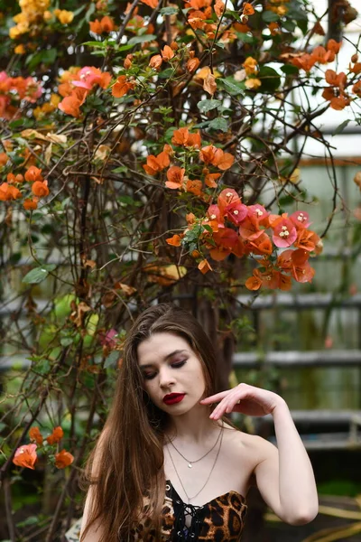 Leopar Elbiseli Egzotik Bahçeli Güzel Bir Kız — Stok fotoğraf