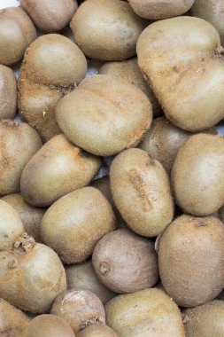 Kivi: Arequipa, Peru bir piyasada.