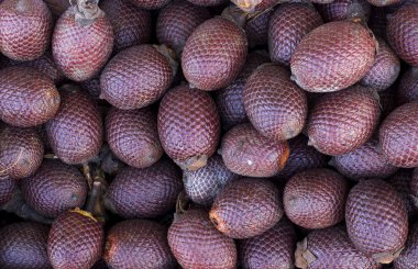 Exotic fruit of America: Aguaje or Moriche, palm fruit, buriti nuts, mauritia flexuosa, Maurity palm clipart