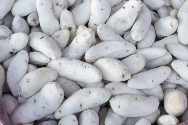中央马铃薯冻干的产品，传统上由克丘亚语和马拉社区在秘鲁。也被称为"爸爸 secas"、 tunta、 白绰 — 图库照片
