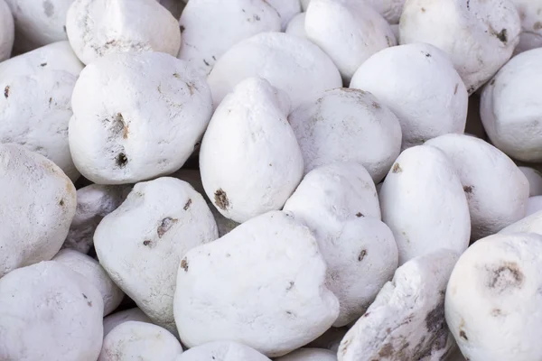 Chuo freeze-dried potato product traditionally made by Quechua and Aymara communities in Peru. Also called "papas secas", tunta, white chuo — Stock Photo, Image