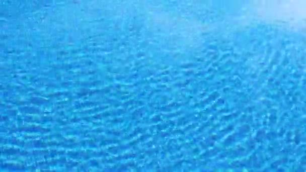 Vifta med klart vatten i poolen med blå botten, ovanifrån — Stockvideo
