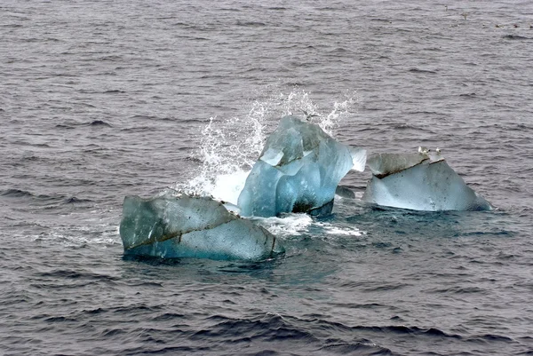ノルウェーのスバールバル諸島スピッツ ベルゲン島近くに浮かぶ氷のカモメ. — ストック写真
