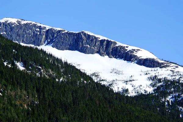 Bergen i Alaska (topp) — Stockfoto