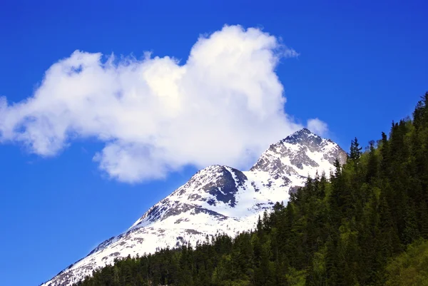 Uma montanha branca na estrada para Skagway Alaska — Fotografia de Stock