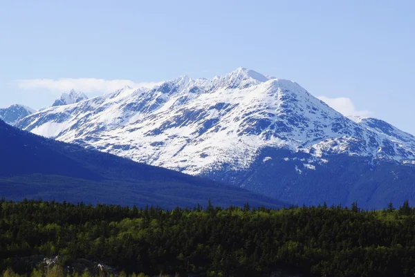 Biała góra na drodze do Skagway Alaska — Zdjęcie stockowe