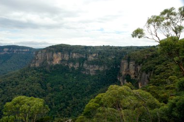 Echo Point, mavi Dağları Milli Parkı, Nsw, Avustralya.
