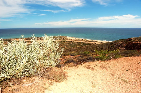 Panorâmica Paisagem australiana - A Baía de Exmouth. Yardie Creek Gorge no Parque Nacional Cape Range, Ningaloo. Reserva do Parque das Tartarugas . — Fotografia de Stock