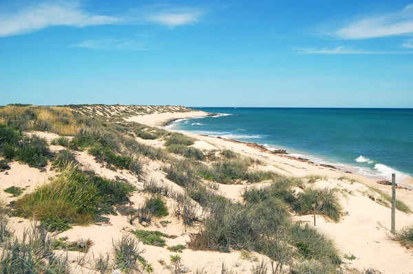 Paysage australien panoramique - La baie d'Exmouth. Gorge du ruisseau Yardie dans le parc national du Cap Range, Ningaloo. Réserve de parc Turtle . — Photo