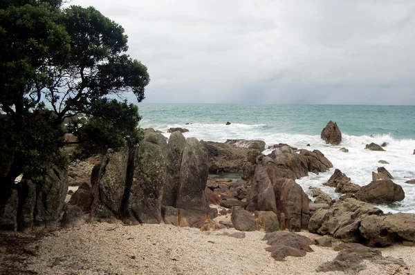 Strandon fekvő, Tauranga City, North Island, Új-Zéland — Stock Fotó