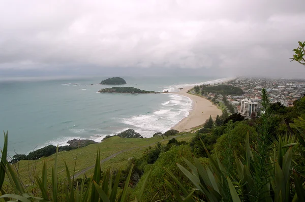 Plaży krajobraz, Tauranga City, Wyspa Północna, Nowa Zelandia — Zdjęcie stockowe