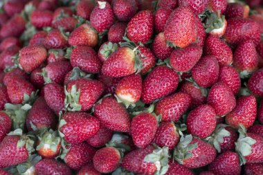 Arequipa, Peru pazarda patates.