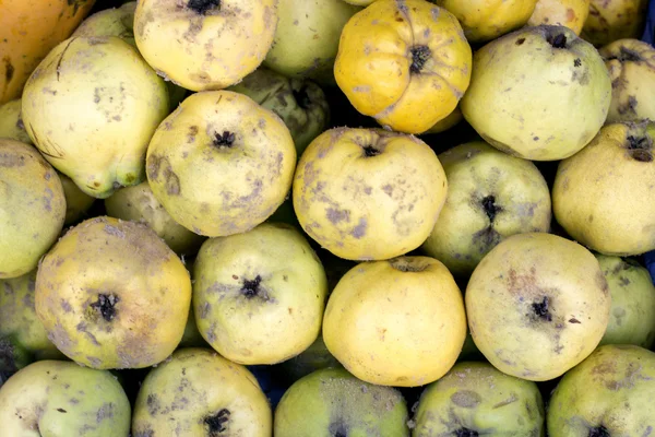 Membrillos maduros en un mercado en Perú . — Foto de Stock