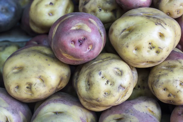 Potatoes in a Peru marketplace in Arequipa. — Stock Photo, Image