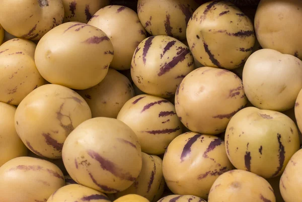 Juicy, fresh fruit pepino melon on a peruvian market. — Stock Photo, Image