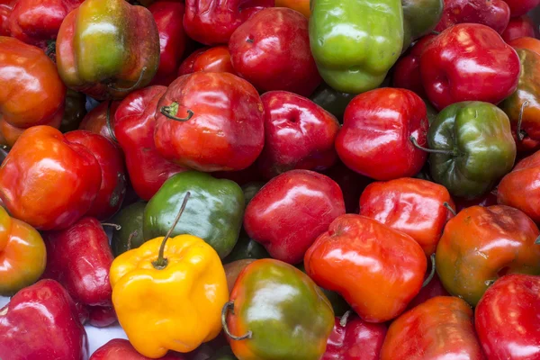Červené, zelené a žluté chilli papriček z peru nazývá rocoto — Stock fotografie