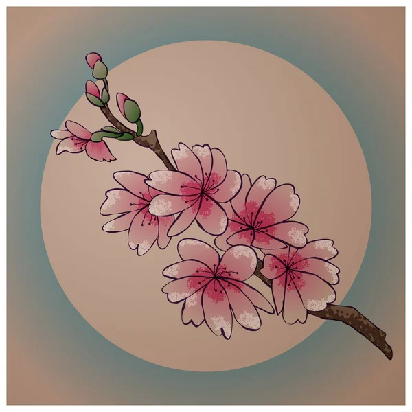 Kirschblütenzweig Vektorillustration — Stockvektor