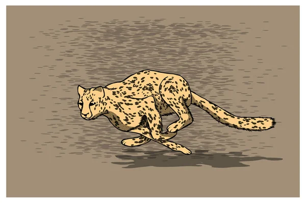 Corriendo Cheetah Ilustración Vectorial — Archivo Imágenes Vectoriales