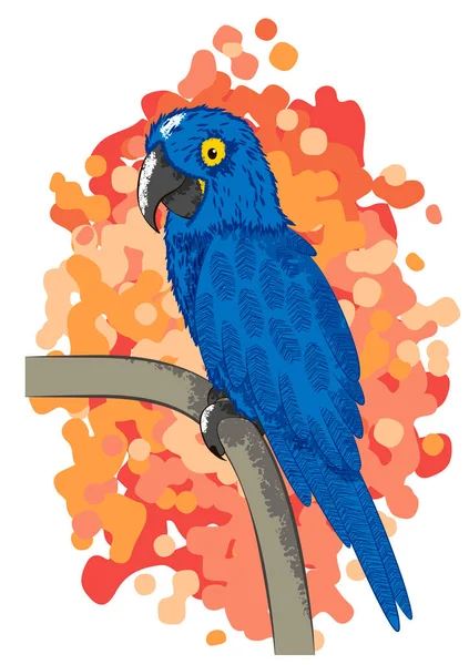 Papoušek Macaw Vektorová Ilustrace — Stockový vektor