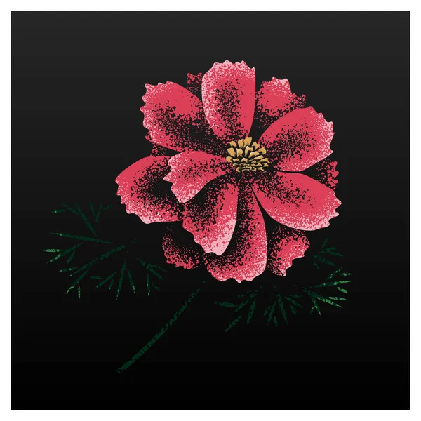 Belle Fleur Rose Illustration Vectorielle — Image vectorielle