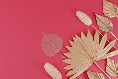 Palmiye yaprağı, luffa ve iskelet yaprağı gibi kurumuş egzotik bitkilerin olduğu düz bir zemin.