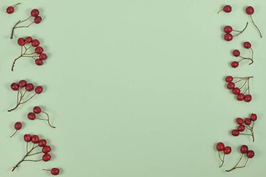 Açık yeşil arkaplanda kırmızı böğürtlen ve ortasında boş fotokopi alanı bulunan kış düzlüğü.