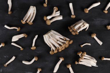 Doğu Asya 'ya özgü kahverengi, yenilebilir mantarlar koyu arkaplanda 