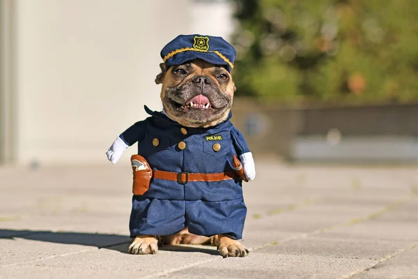 Fransız Buldog Sahte Kollu Polis Kıyafeti Giyiyor — Stok fotoğraf