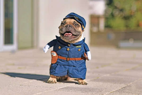 Komik Fransız Bulldog Sahte Kollu Komik Polis Üniforması Giyiyor — Stok fotoğraf