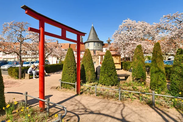 Hofheim Alemanha Março 2021 Porta Tradicional Japonesa Torii Cerejeiras Japonesas — Fotografia de Stock