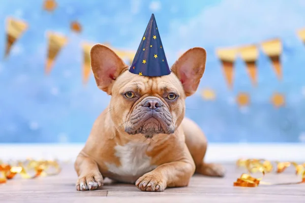 French Bulldog with birthday part hat  in front of blurry blue background with garlands and party streamers