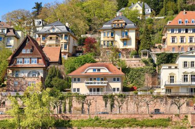 Heidelberg 'deki güzel, eski pahalı villalar Almanya' daki Neckar nehrinin tepesinde yer alıyor.