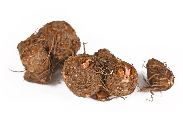 Dormant Caladium plant bulbs isolated on white background