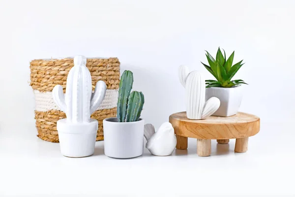 Kaktusy Doniczkowe Kaktusy Ceramiczne Soczyste Rośliny Umieszczone Białej Półce Wystrojem — Zdjęcie stockowe