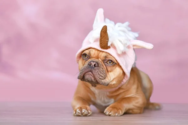 Red French Bulldog Wearing Funny Knitted Pink Unicorn Hat Costume — стоковое фото