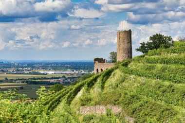 Schriesheim şehrindeki Odenwald ormanında Strahlenburg adında bir Alman şatosu harabesi ve restoranı.