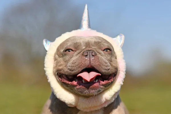 Portrait of smiling French Bulldog dog wearing cute costume unicorn headband